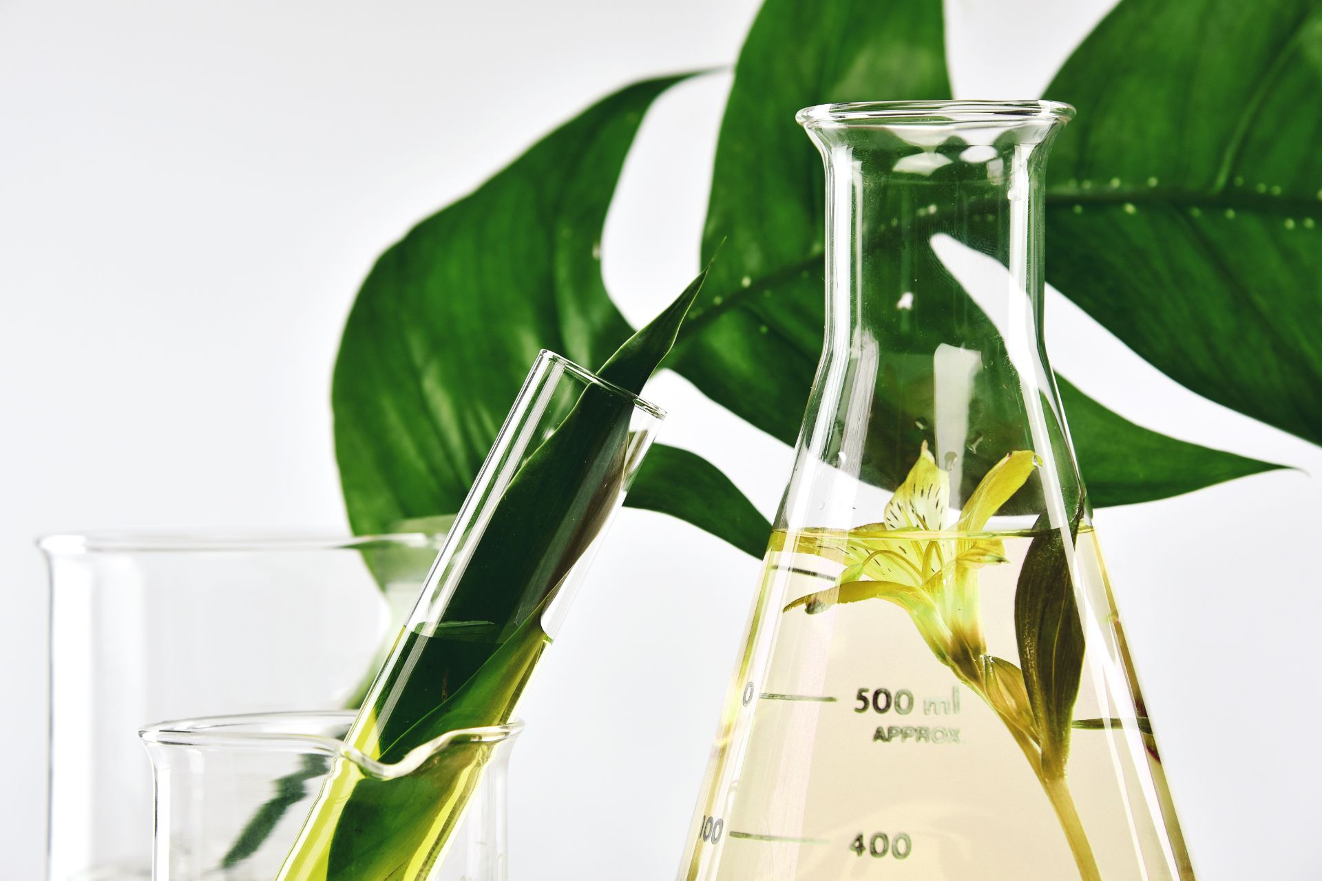 NPROC DOĞAL ÜRÜNLER