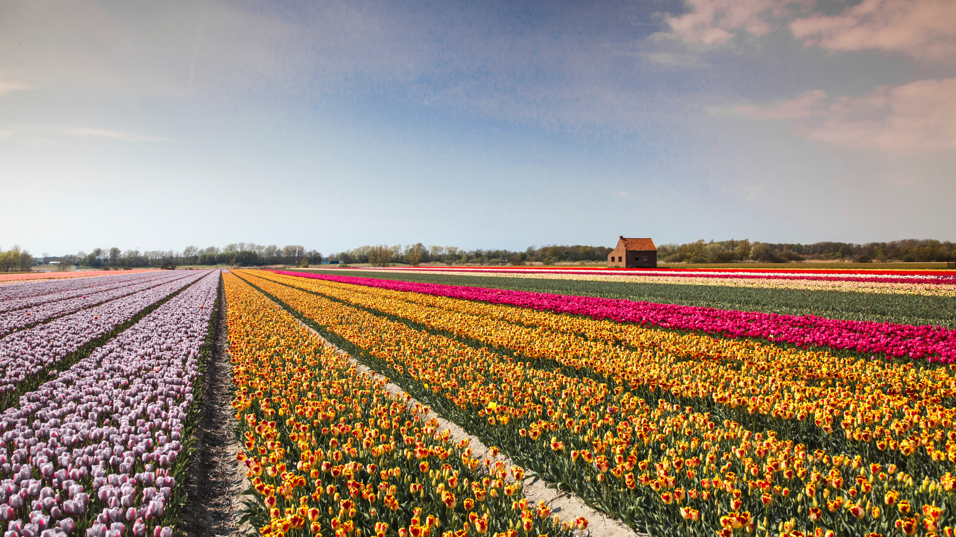 Yenilikçi ve Sürdürülebilir Bitki Ekstraksiyon Teknolojileri